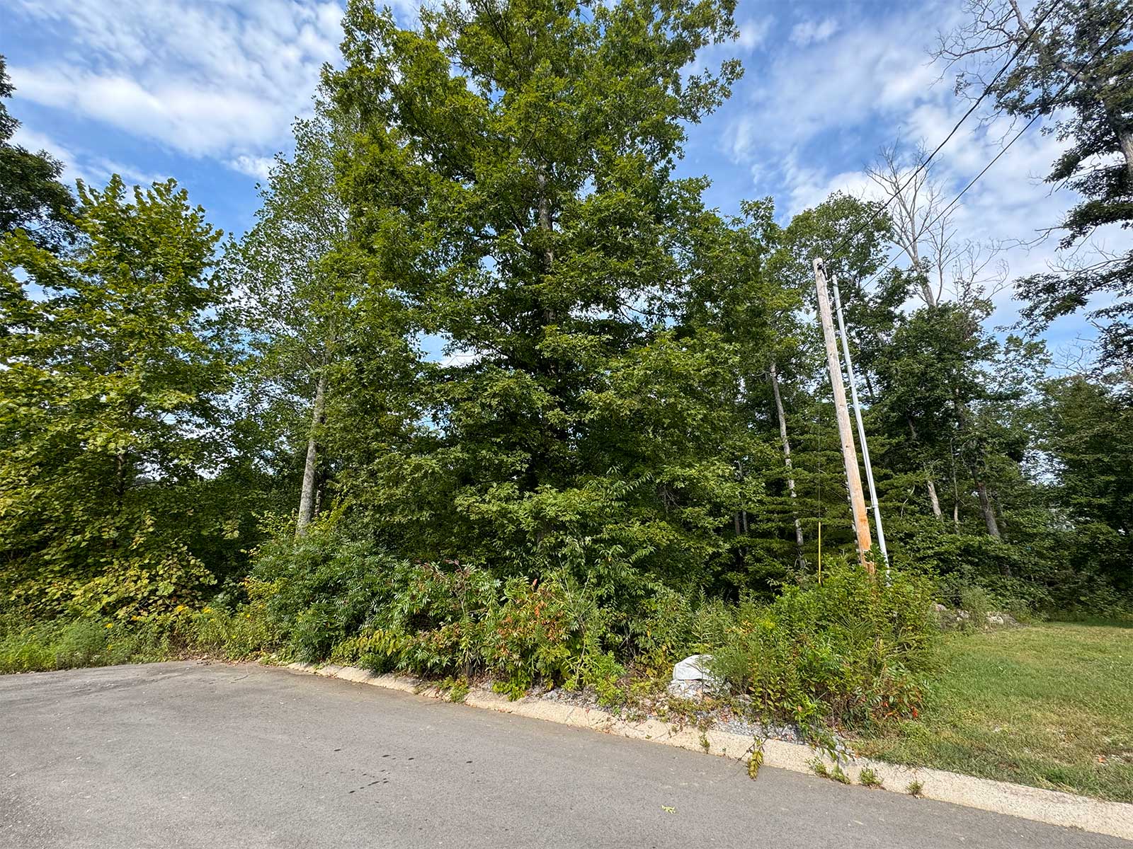 Whites-Bluff-TN01.jpg